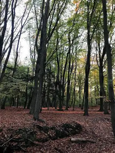 Veltembos