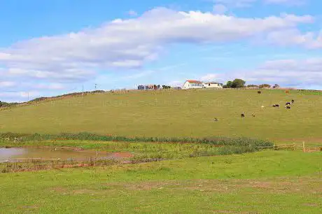 South Huish Wetlands Reserve