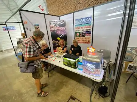 Photo de Association Chalonnaise d'Aquariophilie