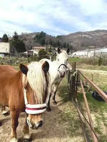 Photo de L'Ecrin de Gaia