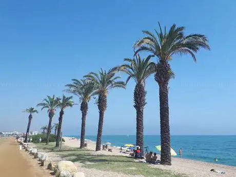 Mini Beach Club