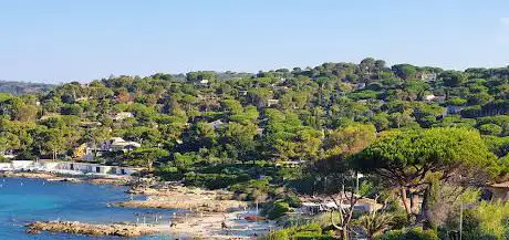 Crique de la DOUANE