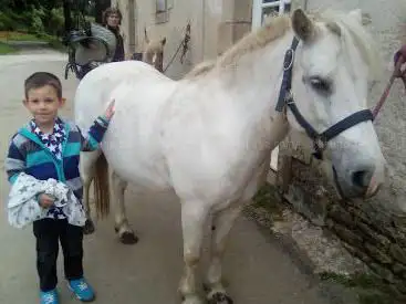 Photo de Keraudrenic Centre Equestrian
