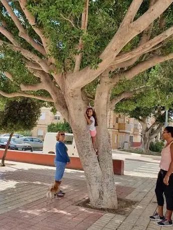 Photo de Plaza Recreo