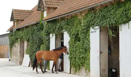 Photo de HDLC HARAS DE LA CLAIRIERE