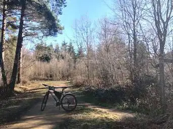 Photo de St Leonards Forest