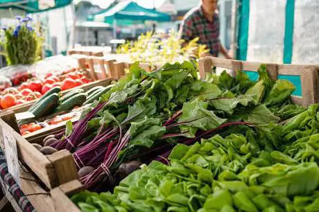 Falmouth Farmers Market