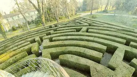 Labyrinth of Villa Pisani