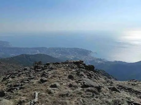 Monte Tardia