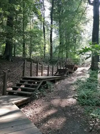 Photo de Mont de l'Enclus