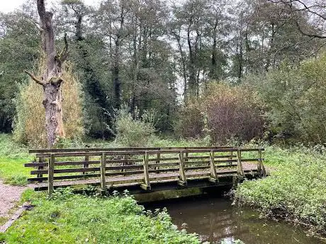 Photo de River Tud Woods