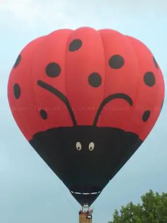 Photo de Ballonvaarten Hans van Hoesel
