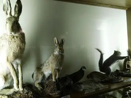 Photo de Museo Naturalistico del Fiume Po