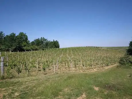 Il Bosco delle Sorti