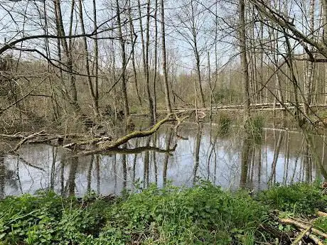 Photo de Hesselsberg