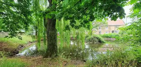 Photo de Millenium Green