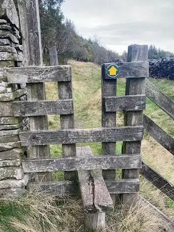 Mary??s Wood