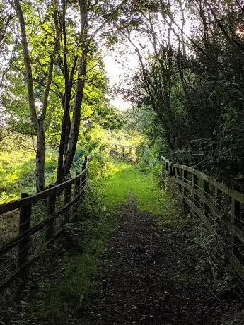 Thorne and Hatfield Moors