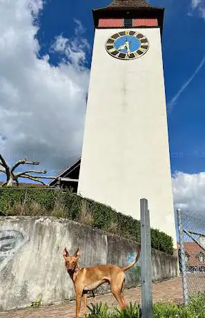 Turm von Opfikon