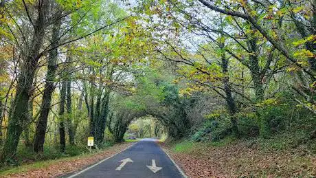 Photo de Ruta dos MuÃÂños do Rio Medio (Miño)