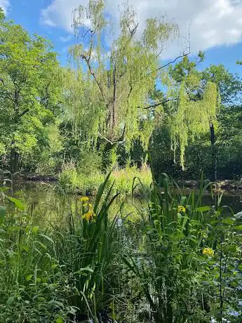 Photo de Conduit Pond