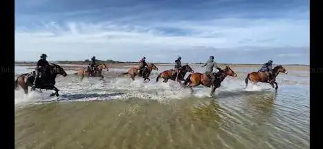 Photo de Horse Escape