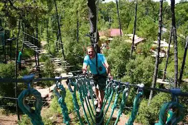 Photo de Feeling Forest