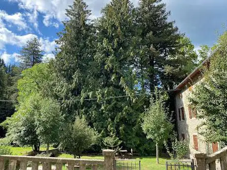 Photo de Museo Forestale e Arboreto Carlo Siemoni