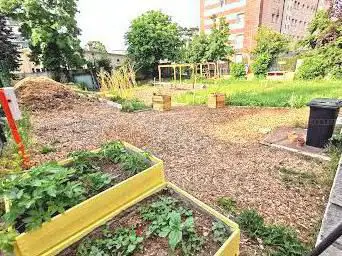 Création d'un espace vert végétalisé