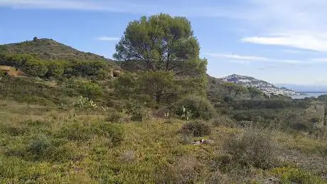 Photo de CamÃ­ de Ronda