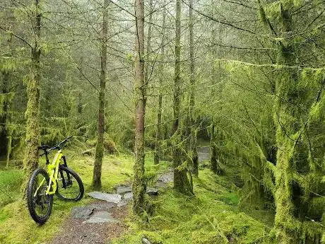 Photo de Rostrevor Mountain Bike Club