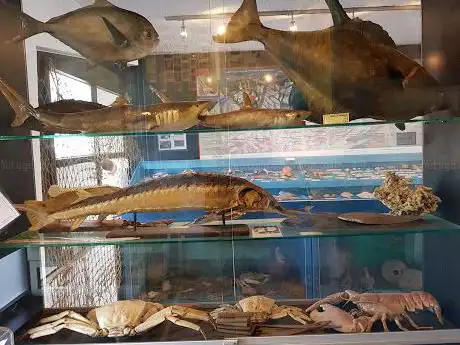 Aquarium de la Mer du Nord