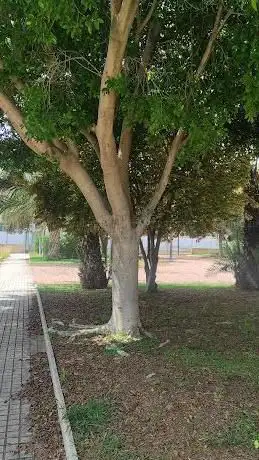Photo de Parque