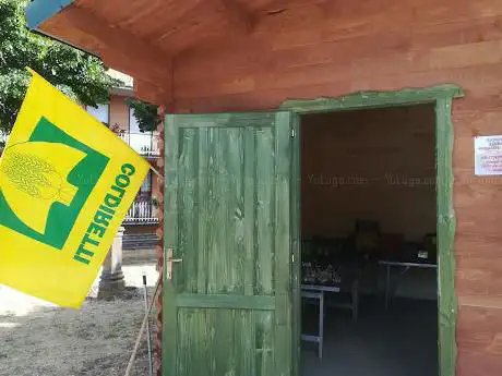 Azienda Agricola Testa