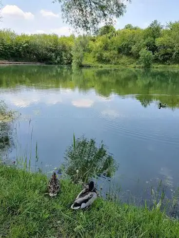 Parc Almet