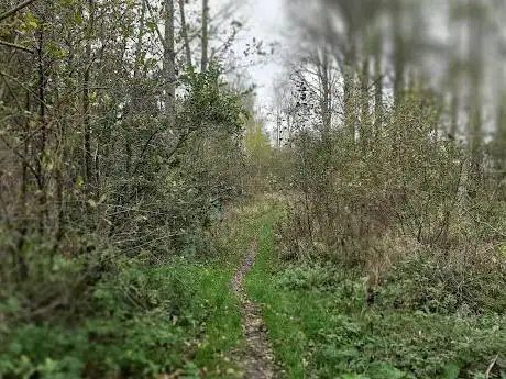 Photo de Stiltewandeling Hingene