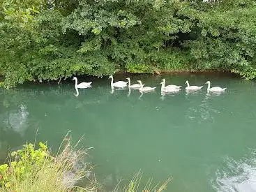 Photo de Réserve naturelle régionale du marais de la Grenouillère