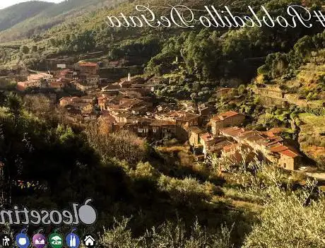 Photo de Oleosetin  Aceite de Oliva Virgen Extra Manzanilla Cacereña y Vinos de Pitarra, Robledillo de Gata