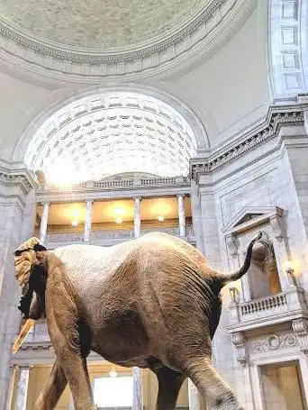 Photo de Smithsonian National Museum of Natural History Store