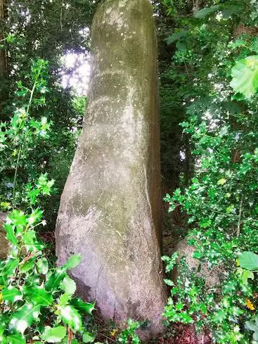 Menhir de la Châtaigneraie