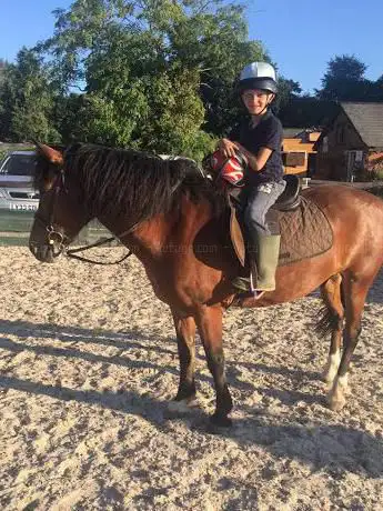 Ampfield Riding Stables