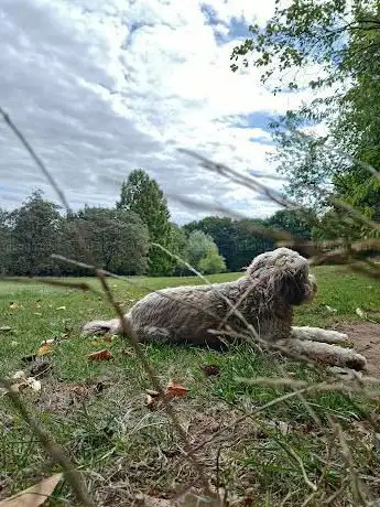Photo de Farmcombe Road Open Space