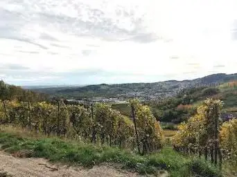 Sitzbank Ottenberg