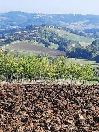 Cimitero di Lussello e Trittango