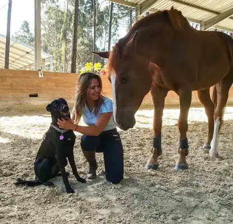 Portugal Equestrian