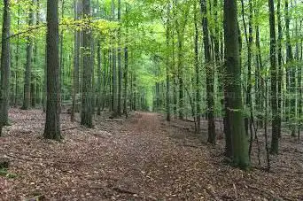 Urwaldtour