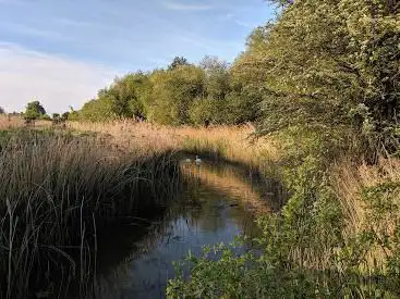 Photo de Filsham Reedbeds Nature Reserve, Sussex Wildlife Trust