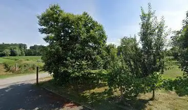 Parc henfligen