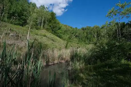 Réserve Naturelle Régionale de la Côte de Bois-en-Val