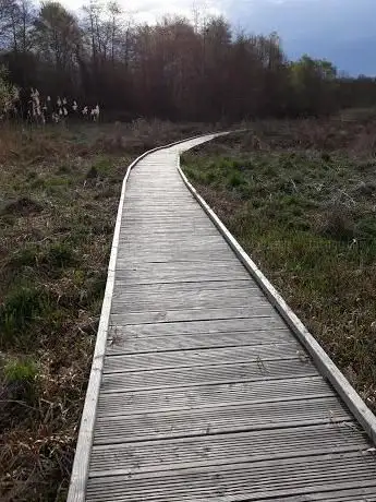 Photo de Marais du Pont des Morands
